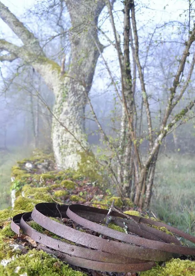Maison D'Hotes Belinaire - Au Coeur De La Nature Cazeneuve-Montaut