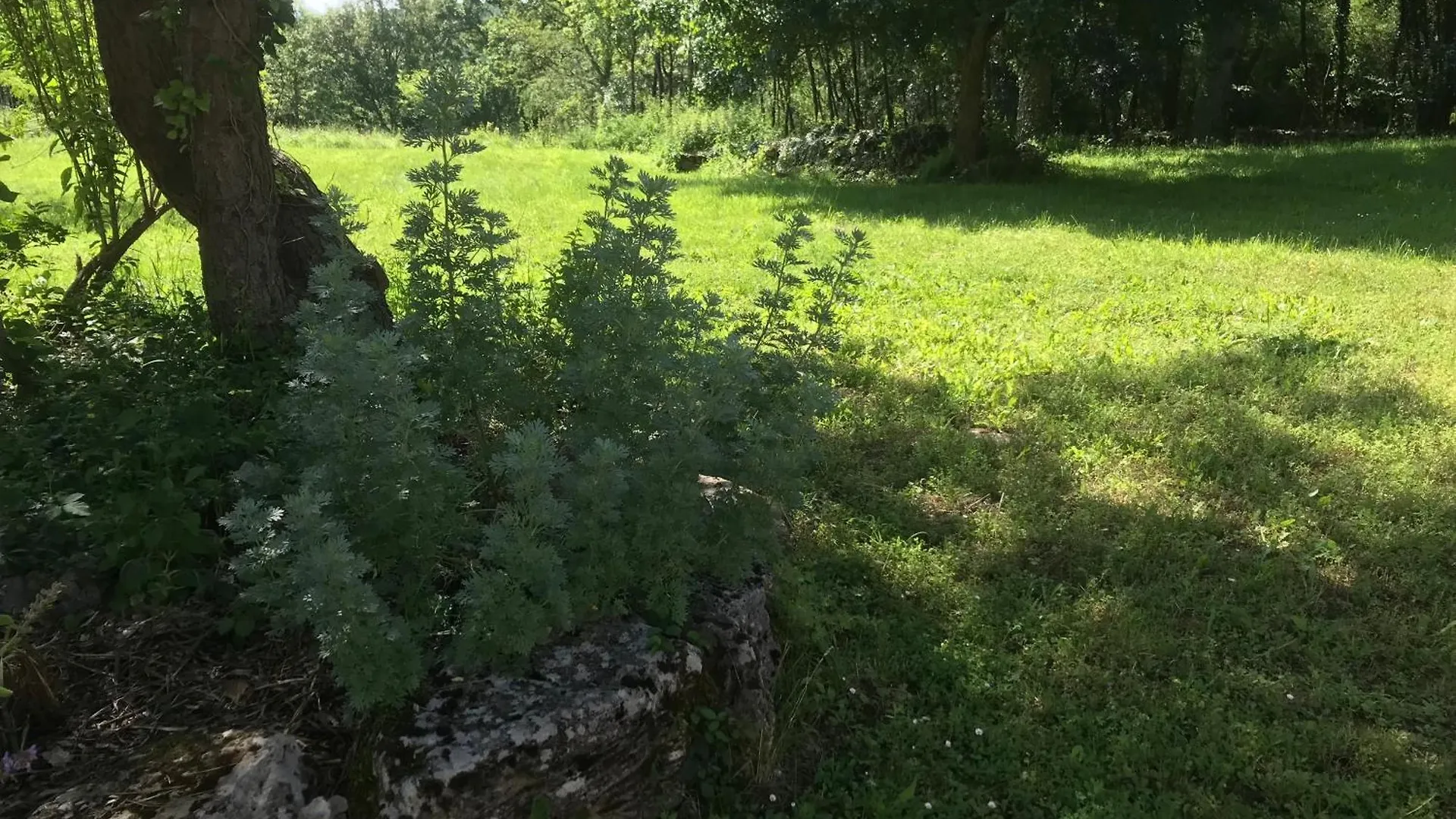 Maison D'Hotes Belinaire - Au Coeur De La Nature Cazeneuve-Montaut Pensjonat